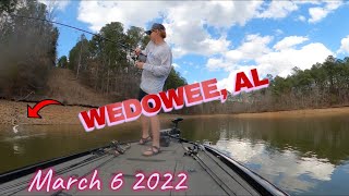 Lake Wedowee Fishing March 2022 [upl. by Enram177]