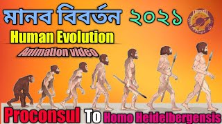 Human Evolution  Evolution from ape to man From Proconsul to Homo HeidelbergensisVigyan Tv Bangla [upl. by Leatrice]