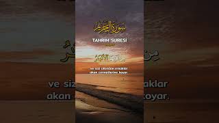 Tahrim Suresi 8Ayet [upl. by Eart]