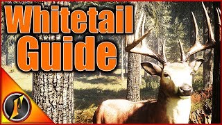 How to Find Whitetail in Call of the Wild [upl. by Ereynihc]