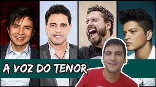 TIPOS DE VOZ A VOZ DO TENOR [upl. by Ecyaj820]