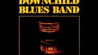 Downchild Blues Band  Flip Flop And Fly [upl. by Etteraj743]