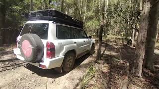 Watagans 4x4 Cpt80 [upl. by Ainehs]