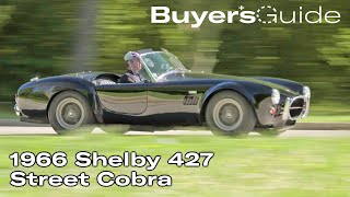 This is what a REAL 66 Shelby 427 Cobra looks like  Buyers Guide  Ep 307 [upl. by Ensoll]