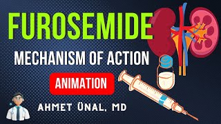 🎬 FUROSEMIDE SITE OF EFFECT AND MECHANISM OF ACTION  ANIMATION [upl. by Ellene]