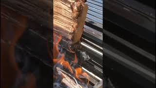 Argentina BBQ Authentic Asado How to season your grill Argentine parrilla grill [upl. by Etty]