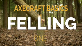 Cutting down a small tree with an axe  Axecraft Basics Part 1 [upl. by Kial]