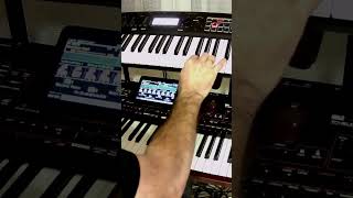 Ameno  Era Cover  KORG Pa4X Pro Cover [upl. by Lrigybab332]