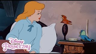 Popelka  Sny tvé před vším zlým tě chrání  Disney Princezny  Disney Channel [upl. by Ahsilyt]