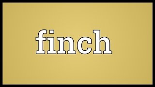 Finch Meaning [upl. by Caddric]