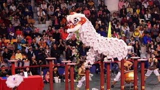 冠軍 20171104泰山獅王爭霸賽基隆長興呂師父龍獅團 ChampionLion Dance Competition [upl. by Nahgeam]