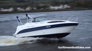 Bayliner 245  Review and Water Test by GulfStream Boat Sales [upl. by Fortin]