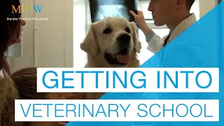 Getting into Vet School [upl. by Taft]