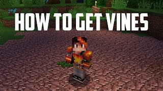 HOW TO GET VINES in Hypixel Skyblock and crafting Diamond Spreading [upl. by Ramahs543]