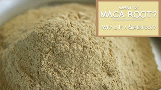 What is Maca Root and Why is It a Superfood [upl. by Ginsberg]