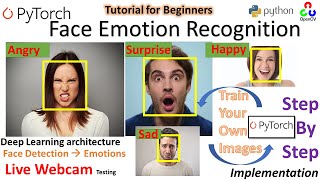 Realtime Face Emotion Recognition  PyTorch  Python Deep Emotion  Stepwise Implementation [upl. by Malarkey]