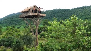 How To Build House On The Tree 12m And Swimming Pool  Part I [upl. by Aeli]