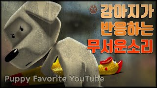 강아지가 반응하는 소리 강아지가 무서워하는 소리 강아지가 보는 유튜브  Puppyviewed YouTube [upl. by Haerr344]