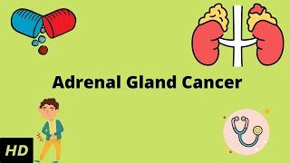 Imaging of Adrenal Adenomas amp Incidentalomas [upl. by Nolra]