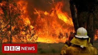 Australia fires Morrison heckled by bushfire victims  BBC News [upl. by Ahsitram]