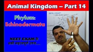 Echinoderms Characteristics  Animal Kingdom  NEET Bio  Part 14 [upl. by Kcireddor]