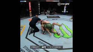 Sean OMalley Knocks Out Almeida UFC260 [upl. by Nellahs]