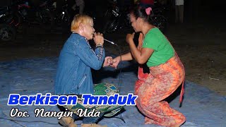 Adu Perkolong kolong Vs Ronggeng CikecurBerkisen Tanduk [upl. by Cyprio245]