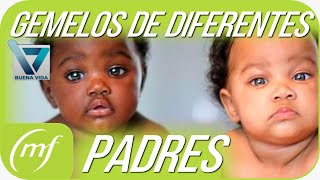 Superfecundación heteropaternal  Gemelos de diferentes padres [upl. by Duntson]