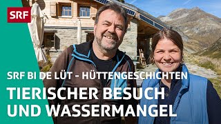 Tierischer Besuch und Wassermangel  Hüttengeschichten 2022 35 – SRF bi de Lüt  SRF [upl. by Gorlicki222]