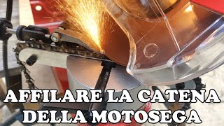 Come affilare la catena della motosega [upl. by Justus]