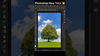 how to remove tree background in photoshop photoshop shorts tutorial [upl. by Lorianna]