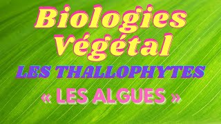 Cours Biologies Végétal Les Thallophytes « Les algues » [upl. by Meagan]