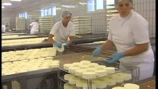 Camembert  la fabrication [upl. by Nayb]