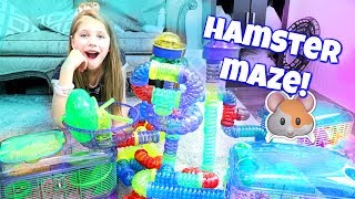 AMAZING HAMSTER MAZE Setting up Hamster Cages and Tubes from CritterTrail Shopping at PetSmart [upl. by Singh]