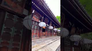 東大寺とその境内  Todaiji Temple Nara🇯🇵 奈良 東大寺 大仏 世界遺産 [upl. by Manouch]