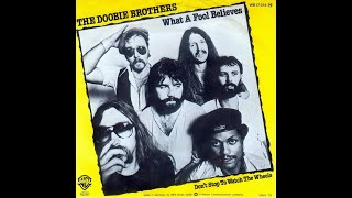 The Doobie Brothers  What A Fool Believes 1978 Disco Purrfection Version [upl. by Arlin]