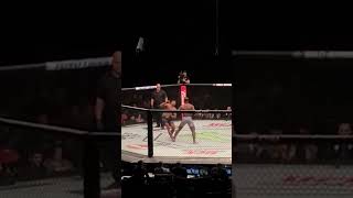 Francis Ngannou KO Alistair Overeem [upl. by Meg]