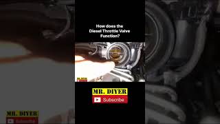 How the Diesel Throttle Valve Function [upl. by Allit524]