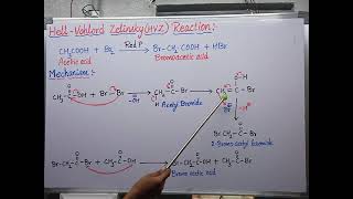 Hell Vohlord Zelinsky HVZ reaction with mechanism [upl. by Tasha]