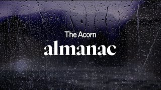 the acorn  almanac lyrics [upl. by Bradstreet780]