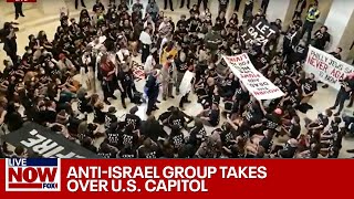 BREAKING Protesters at Capitol demand Gaza ceasefire spark fears of riot  LiveNOW from FOX [upl. by Tim]