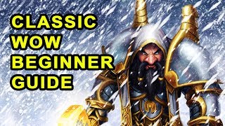 A Beginners Guide to Classic WoW Leveling Dungeons Raiding amp PvP [upl. by Spense503]