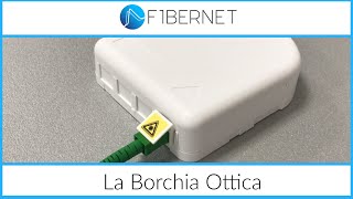 I vantaggi della Borchia ottica Fibernet [upl. by Wheelwright994]