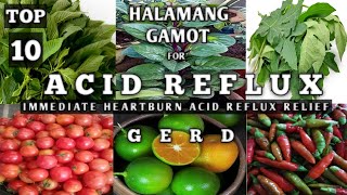 TOP 10 MGA HALAMANG GAMOT AT MGA NATURAL REMEDIES PARA SA GERD quotACID REFLUX DISEASEquot  HOME REMEDY [upl. by Born]