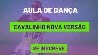 AULA FITDANCE cavalinho versão Pedro Sampaio Gasparzinho aula dance dança [upl. by Yemerej]