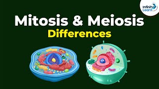 Mitosis Vs Meiosis  Differences  Infinity Learn [upl. by O'Neill74]