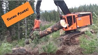 TimberPro TL765C cutting and handling large trees in Idaho [upl. by Yevoc]