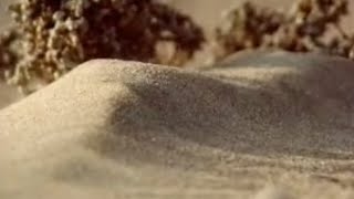 How to Make a Sand Dune  Dune  BBC Studios [upl. by Aralk]