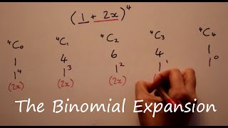 The Binomial Expansion [upl. by Enyar]