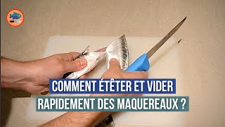 Comment étêter et vider rapidement des maquereaux [upl. by Metzger211]